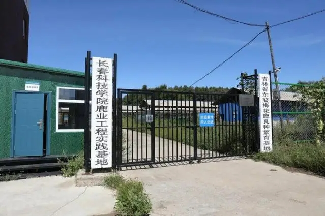 长春市双阳区：科技小院赋能乡村振兴 